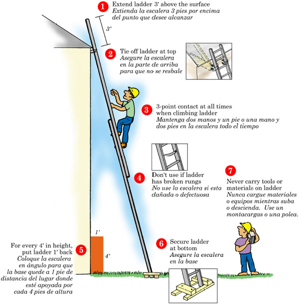 7 Steps to Ladder Safety poster