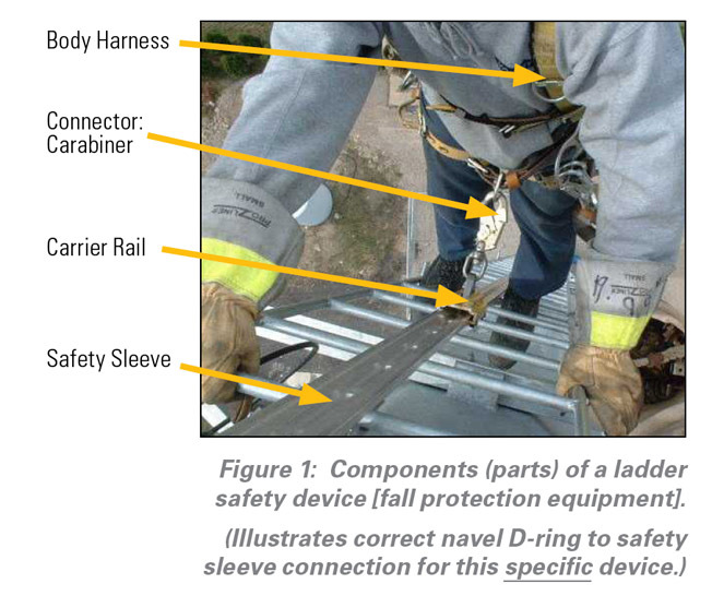 Image showing components of ladder safety device (fall protection equipment) 