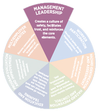 management leadership pie slice graphic