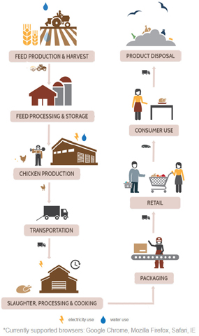 Chicken Supply Chain Visualization: Image shows the chicken supply chain, including feed production and harvest; feed processing and storage; chicken production; transportation; slaughter, processing, and cooking; packaging; retail; consumer use; product disposal.