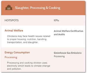 Slaughter, Processing & Cooking: Image shows the hotspots and improvement opportunities for addressing supply chain sustainability in the slaughter, processing and cooking of chicken. It highlights only two issues-- animal welfare and energy consumption. It does not identify any worker safety and health issues although workers that slaughter and process chicken suffer elevated rates of injury and illness.