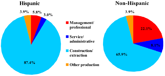 14. Occupational distribution in construction, Hispanic and non-Hispanic workers, 2008