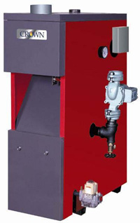 Photo of Cayman CWI Series Gas Boiler
