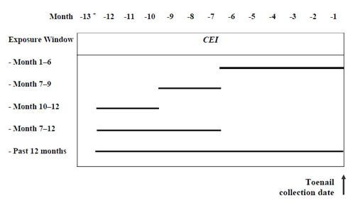 Figure 1. Exposure windows of interest for Mn-CEI and toenail Mn.