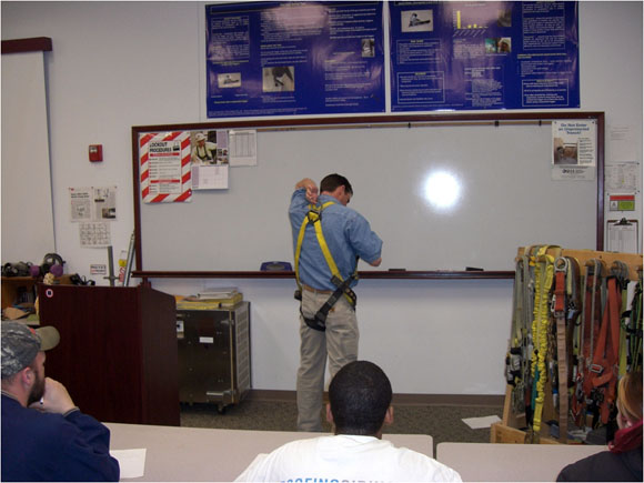 demonstration of harness use