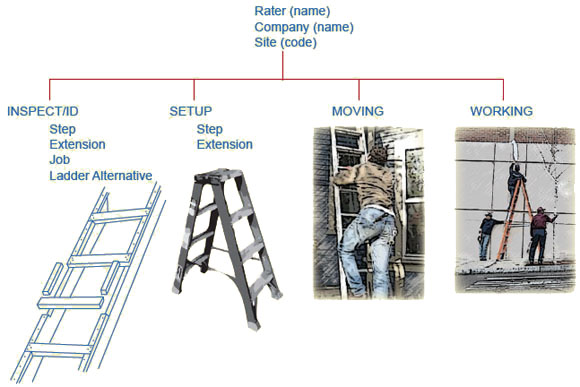 Five Things To Do After Falling Off Ladder at Work