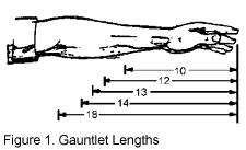 figure 1. gauntlet lengths