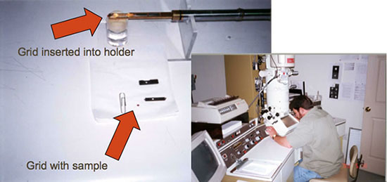 Transmission electron microscopy in action