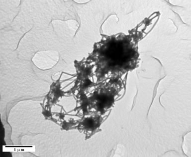 Image of MWCNT, courtesy of NIOSH