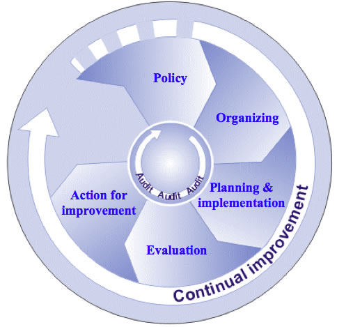 Chart of the main elements of the OSH management system