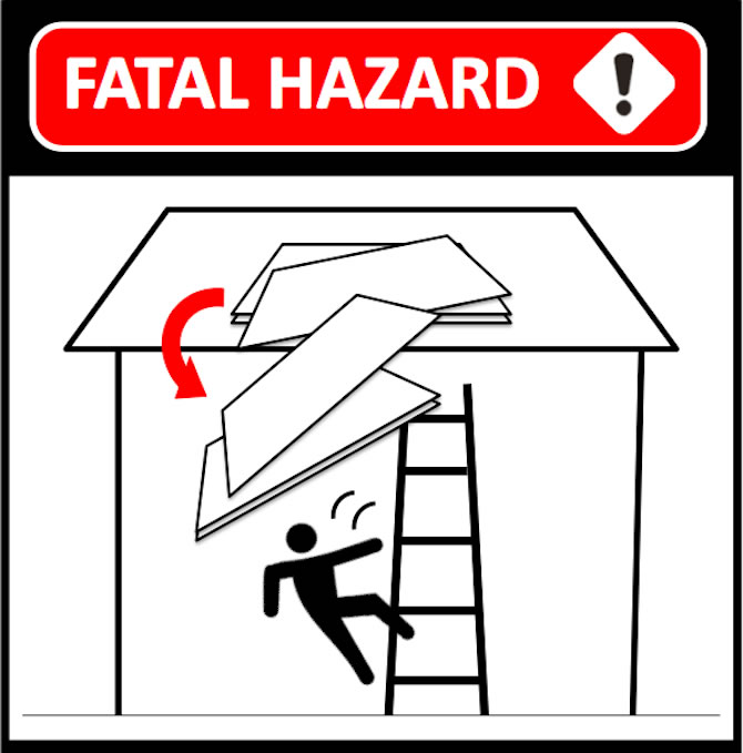 Fatal Hazard Logo