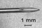 photo of the tip of a medical needle
