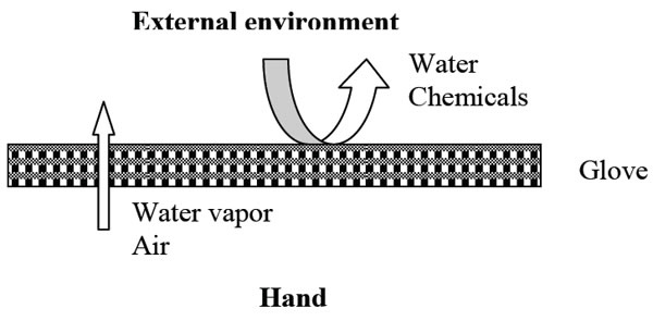 illustration of the breathing membrane principle