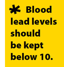 Blood lead levels should be kept below 10 micrograms per deciliter of blood.