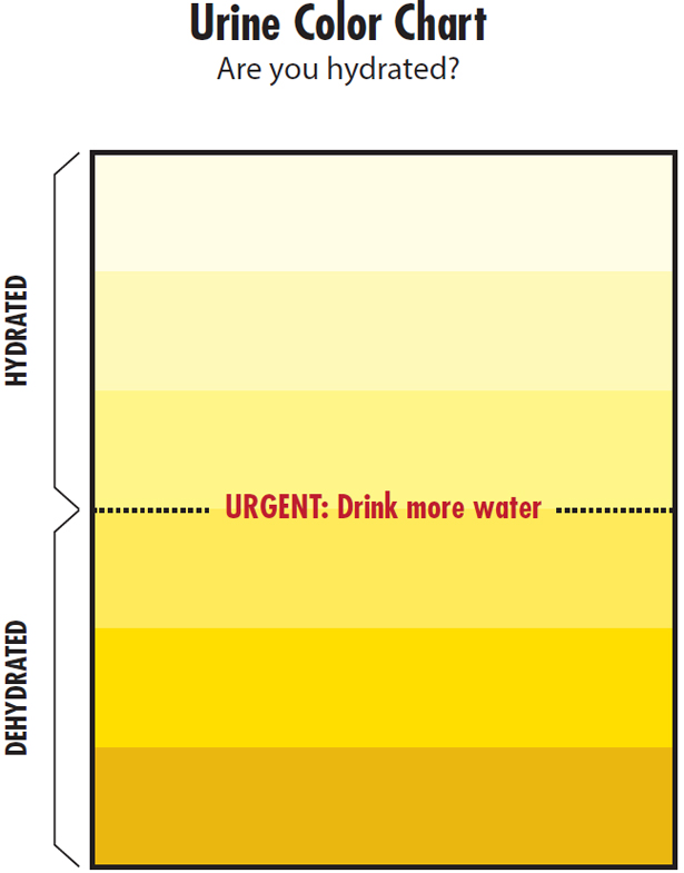 Graphic- urine chart