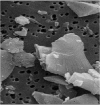 electron microscope image of migro silica