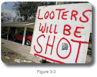 sign looters will be shot