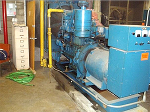 generator with a hose nearby