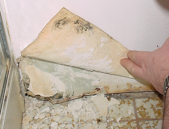 eLCOSH : Mold in Construction