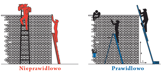 Illustration of ladder safety