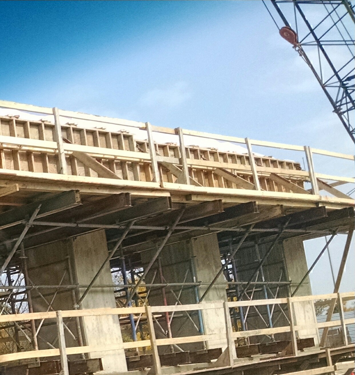 Concrete form with guardrails